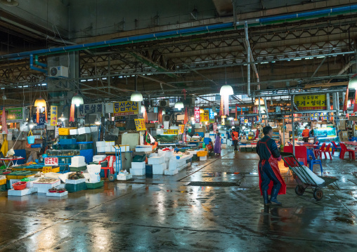 Noryangjin fisheries wholesale market, National capital area, Seoul, South korea