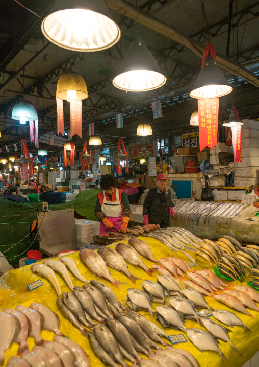 Noryangjin fisheries wholesale market, National capital area, Seoul, South korea