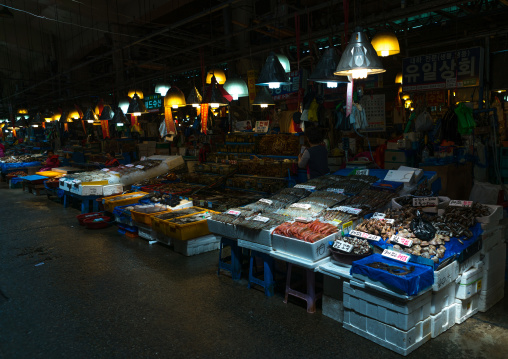 Noryangjin fisheries wholesale market, National capital area, Seoul, South korea