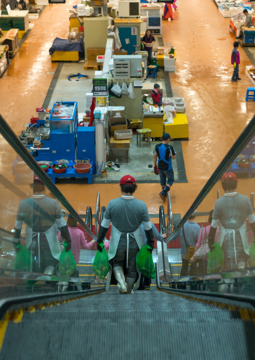 Noryangjin fisheries wholesale market, National capital area, Seoul, South korea