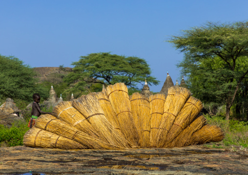 Thatch used to make the roofs of the Larim houses, Boya Mountains, Imatong, South Sudan