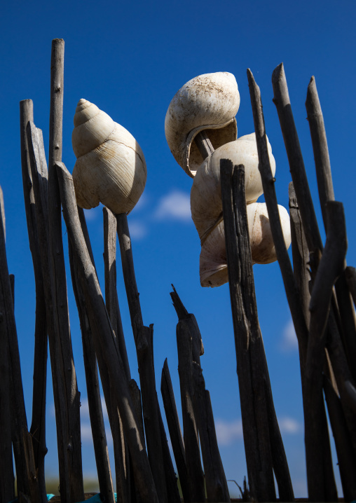 Snail nails on a house to bring luck in Larim tribe, Boya Mountains, Imatong, South Sudan