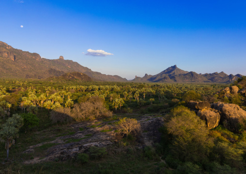 Oasis in front of the Boya mountains, Boya Mountains, Imatong, South Sudan