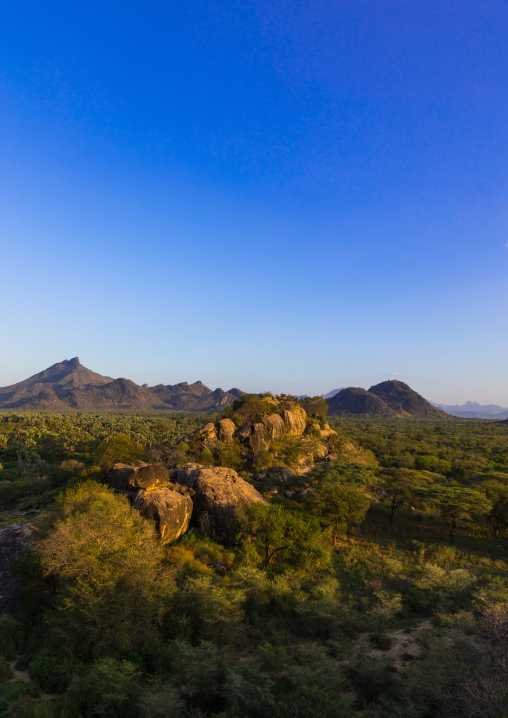 Oasis in front of the Boya mountains, Boya Mountains, Imatong, South Sudan