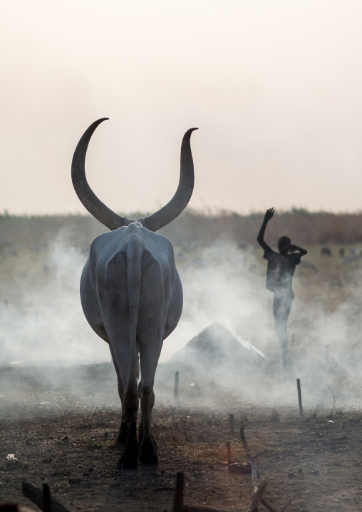 A Mundari tribe boy mimics the position of horns of his favourite cow, Central Equatoria, Terekeka, South Sudan