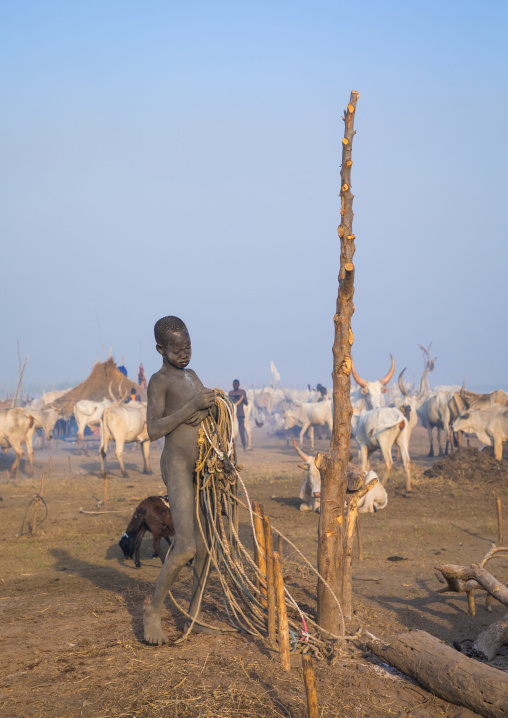 A Mundari tribe boy prepares the ropes to tie the cows in a cattle camp, Central Equatoria, Terekeka, South Sudan