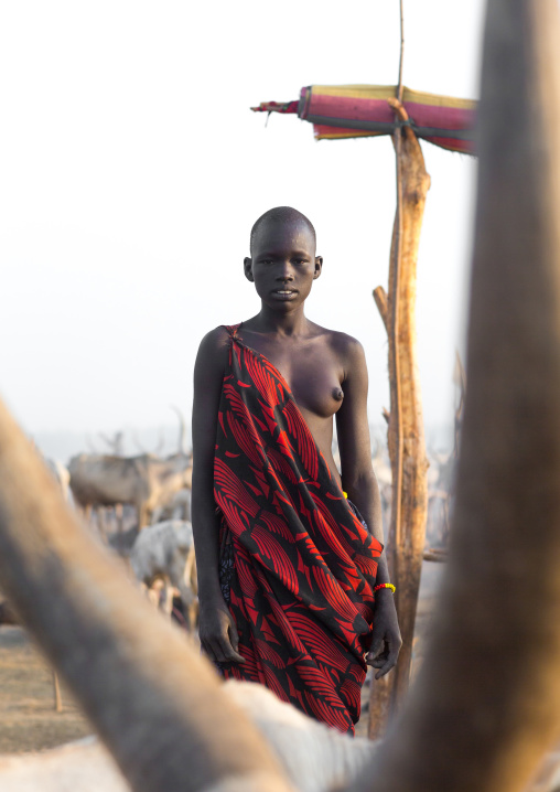 Portrait of a Mundari tribe woman in a cattle camp, Central Equatoria, Terekeka, South Sudan