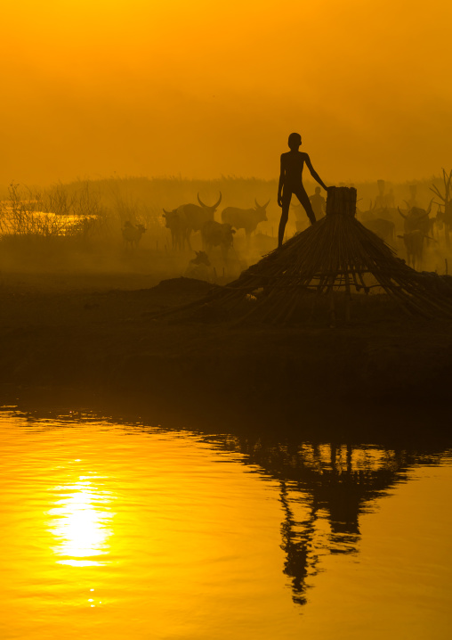 Mundari tribe boy in the middle of long horns cows in a cattle camp at sunset, Central Equatoria, Terekeka, South Sudan