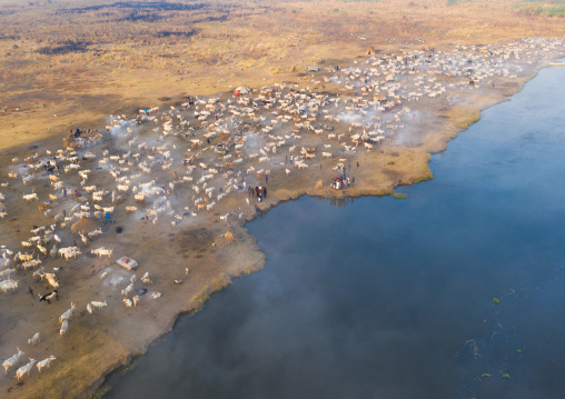 Aerial view of long horns cows in a Mundari tribe cattle camp in front of river Nile, Central Equatoria, Terekeka, South Sudan