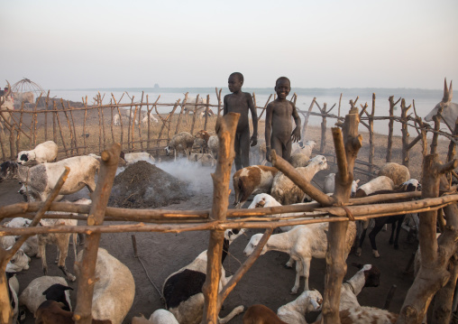 Mundari tribe boys taking care of the sheeps in the cattle camp, Central Equatoria, Terekeka, South Sudan