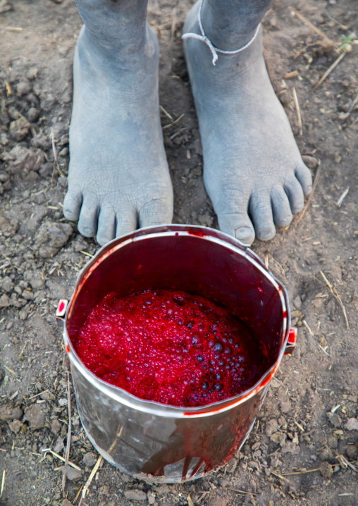 Cow blood drunk by the Mundari tribe people, Central Equatoria, Terekeka, South Sudan