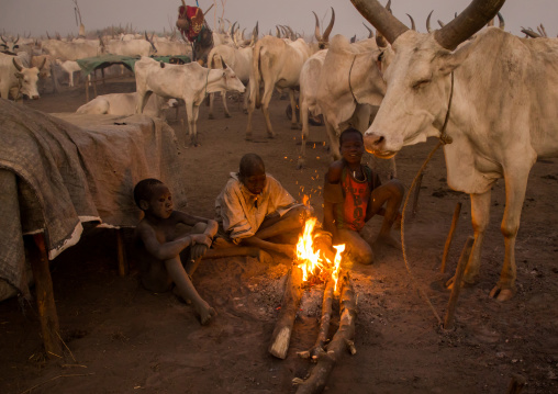 Mundari tribe boys making a campfire with dried cow dungs to repel flies and mosquitoes, Central Equatoria, Terekeka, South Sudan