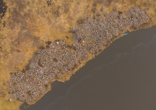 Aerial view of long horns cows in a Mundari tribe cattle camp in front of river Nile, Central Equatoria, Terekeka, South Sudan