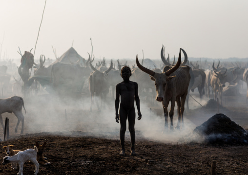 Mundari tribe boy in the middle of long horns cows in a cattle camp, Central Equatoria, Terekeka, South Sudan