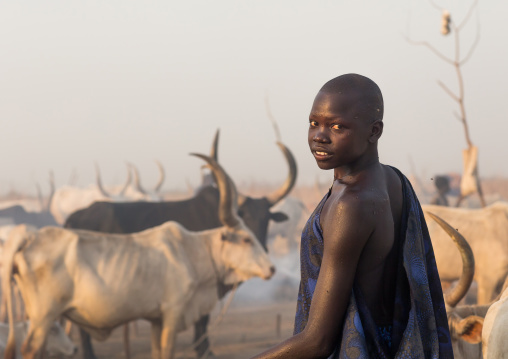 Portrait of a Mundari tribe woman in a cattle camp, Central Equatoria, Terekeka, South Sudan