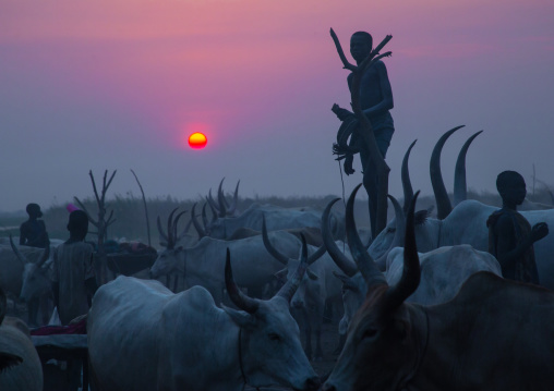 A Mundari tribe boy standing on a wood mast to watch his cows in the sunset, Central Equatoria, Terekeka, South Sudan