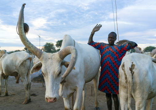 A Mundari tribe man mimics the position of horns of his favourite cow, Central Equatoria, Terekeka, South Sudan