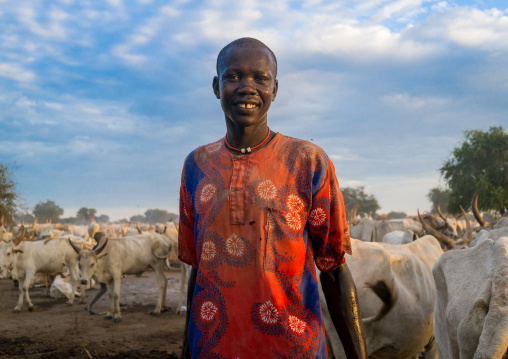 Mundari tribe man showering with cow urine to take advantage of the antibacterial properties, Central Equatoria, Terekeka, South Sudan