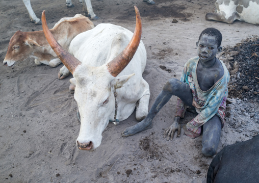 Mundari tribe boy collecting dried cow dungs to make bonfires to repel mosquitoes and flies, Central Equatoria, Terekeka, South Sudan