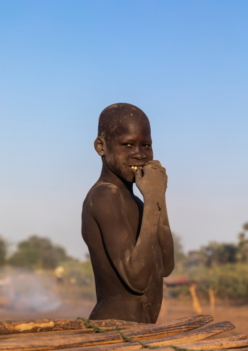 Mundari tribe boy covered in ash taking care of long horns cows in a camp, Central Equatoria, Terekeka, South Sudan