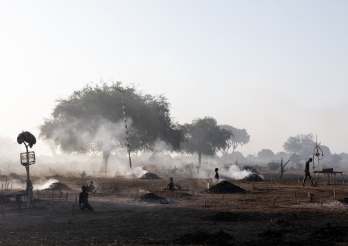 Long horns cows in a Mundari tribe camp gathering around bonfires to repel mosquitoes and flies, Central Equatoria, Terekeka, South Sudan