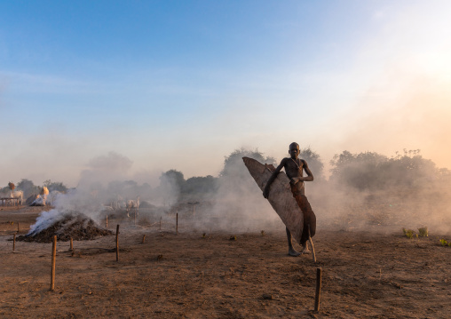 Mundari tribe boy collecting dried cow dungs in a cow skin to make bonfires to repel mosquitoes and flies, Central Equatoria, Terekeka, South Sudan