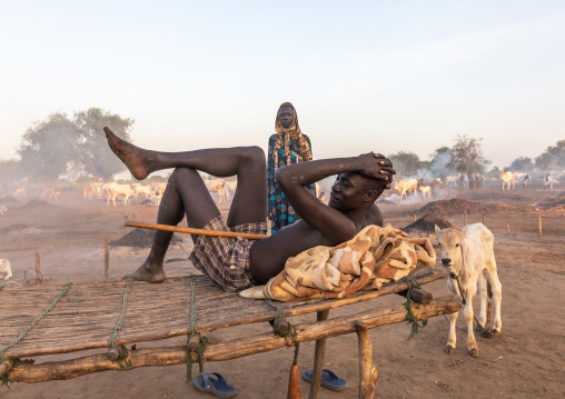 Mundari tribe man resting on a wooden bed in the middle of his long horns cows, Central Equatoria, Terekeka, South Sudan