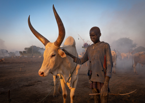 Mundari tribe boy with a long horns cow in a camp, Central Equatoria, Terekeka, South Sudan