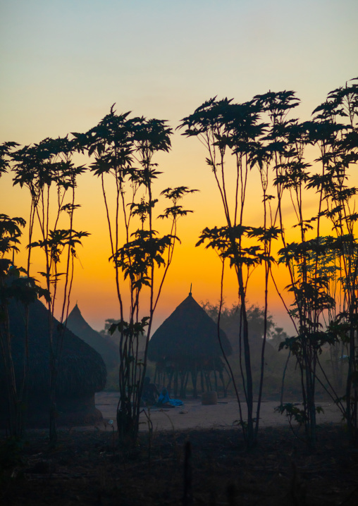 Traditional Mundari village in the sunset, Central Equatoria, Terekeka, South Sudan