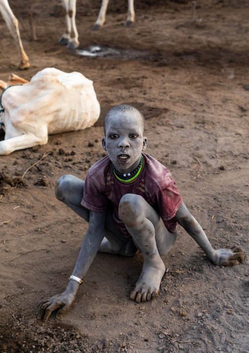 Mundari tribe boy collecting dried cow dungs to make bonfires to repel mosquitoes and flies, Central Equatoria, Terekeka, South Sudan