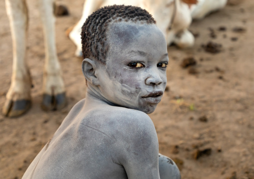 Mundari tribe boy covered in ash taking care of long horns cows in a camp, Central Equatoria, Terekeka, South Sudan