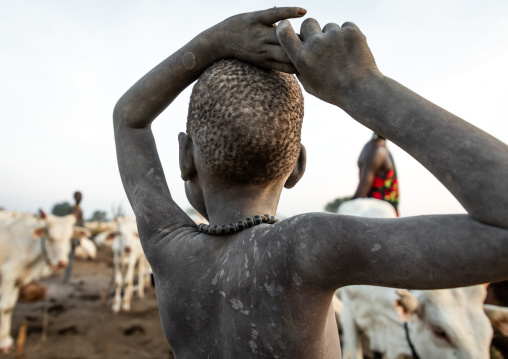 Mundari tribe boy taking care of the long horns cows in a camp, Central Equatoria, Terekeka, South Sudan