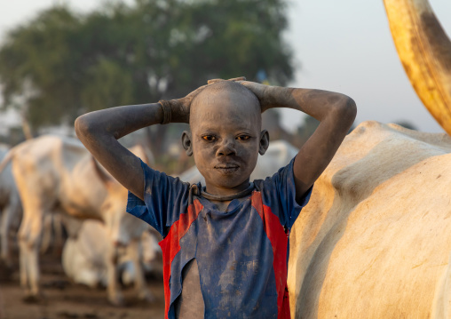 Mundari tribe boy covered in ash taking care of long horns cows in a camp, Central Equatoria, Terekeka, South Sudan