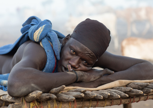 Mundari tribe man resting on a wooden bed in the middle of his long horns cows, Central Equatoria, Terekeka, South Sudan