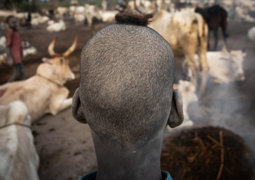 Rear view of the shaved head of a Mundari tribe boy, Central Equatoria, Terekeka, South Sudan