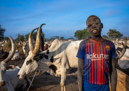 Mundari tribe boy with his long horns cows in the camp, Central Equatoria, Terekeka, South Sudan