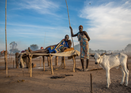 Mundari tribe man resting on a wooden bed in the middle of his long horns cows, Central Equatoria, Terekeka, South Sudan