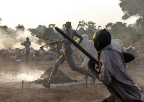 Mundari tribe men running after a long horns cow, Central Equatoria, Terekeka, South Sudan