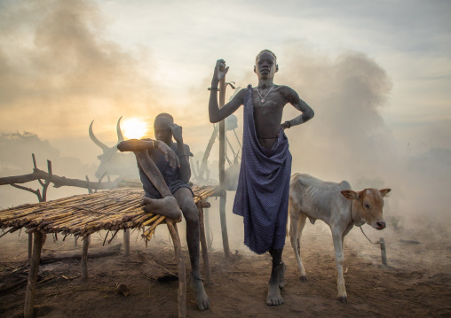 Mundari tribe man resting on a wooden bed in the middle of his long horns cows, Central Equatoria, Terekeka, South Sudan