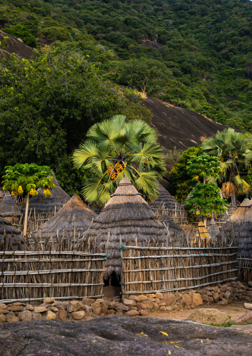 Lotuko tribe traditional village, Central Equatoria, Illeu, South Sudan