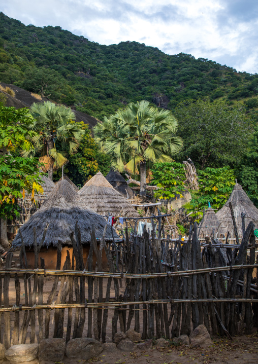 Lotuko tribe village with thatched houses, Central Equatoria, Illeu, South Sudan