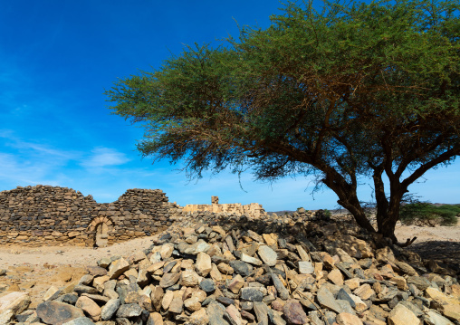 Al Ghazali christian monastery, Northern State, Wadi Abu Dom, Sudan