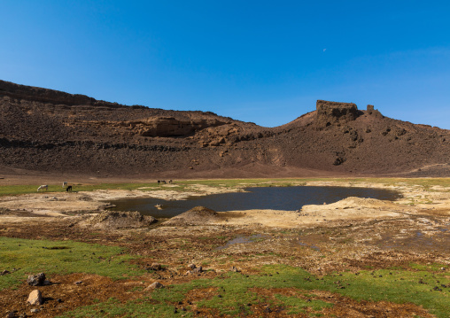 Atrun crater where nomads come to collect salt, Bayuda desert, Atrun, Sudan