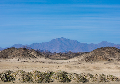 Arid landscape, Red Sea State, Port Sudan, Sudan