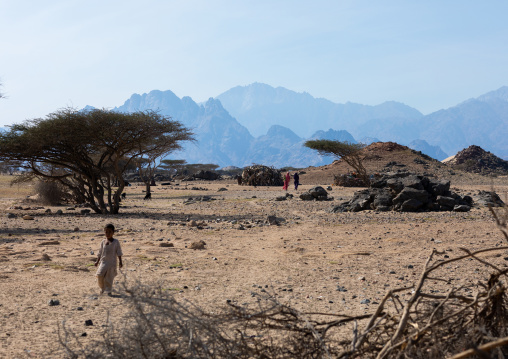 Beja tribe village in an arid landscape, Red Sea State, Port Sudan, Sudan