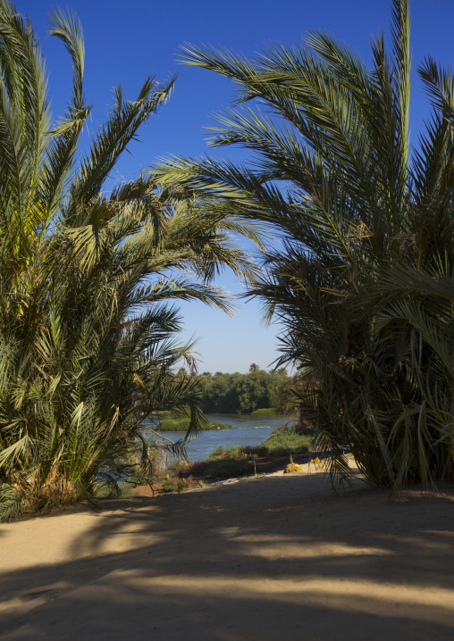 Sudan, Nubia, Tumbus, nile river bank