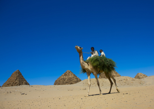 Sudan, Nubia, Nuri, kids on a camel in front of the royal pyramids of napata