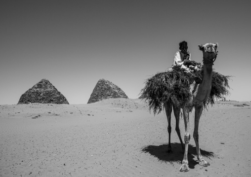 Sudan, Nubia, Nuri, kids on a camel in front of the royal pyramids of napata