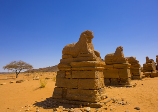 Sudan, Nubia, Naga, rams statues in amun temple rams