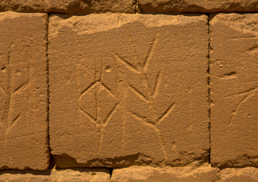 Sudan, Nubia, Naga, plant carving on the elephant temple at musawwarat es-sufra